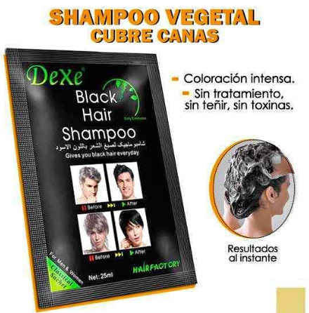 SHAMPOO CAPILAR DEXE – CUBRE CANAS | Envió Gratis